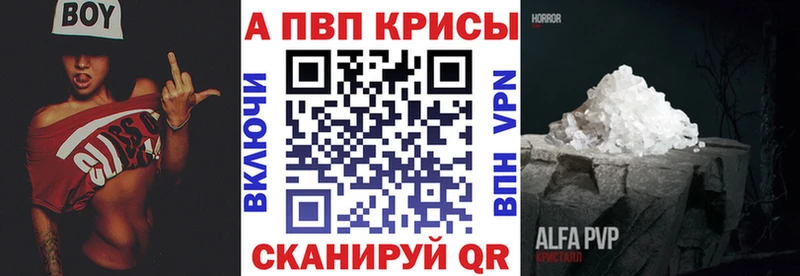 Альфа ПВП СК КРИС Ставрополь