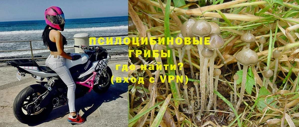 круглые Алексин
