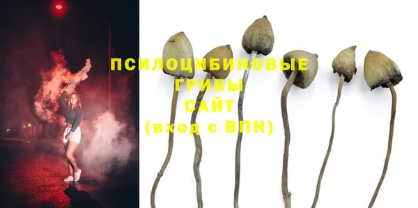 круглые Алексин