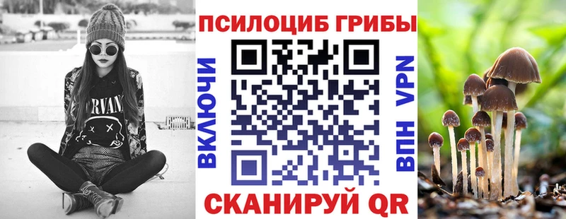 дарк нет какой сайт  как найти наркотики  Ставрополь  Галлюциногенные грибы Cubensis 