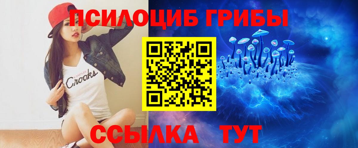 Псилоцибиновые грибы прущие грибы  Вход с VPN  Ставрополь 